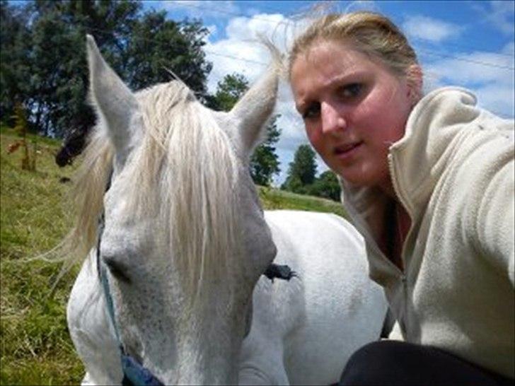 New Forest Nero  billede 10