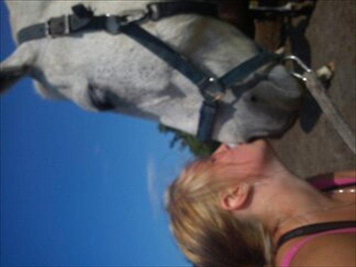 New Forest Nero  billede 11