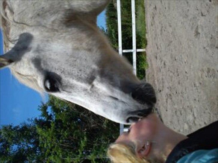 New Forest Nero  billede 14