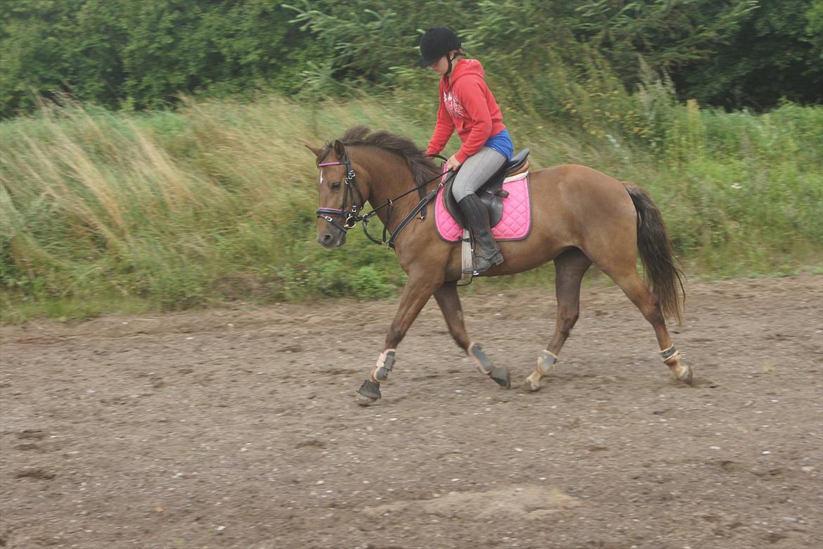 New Forest Diamond billede 17