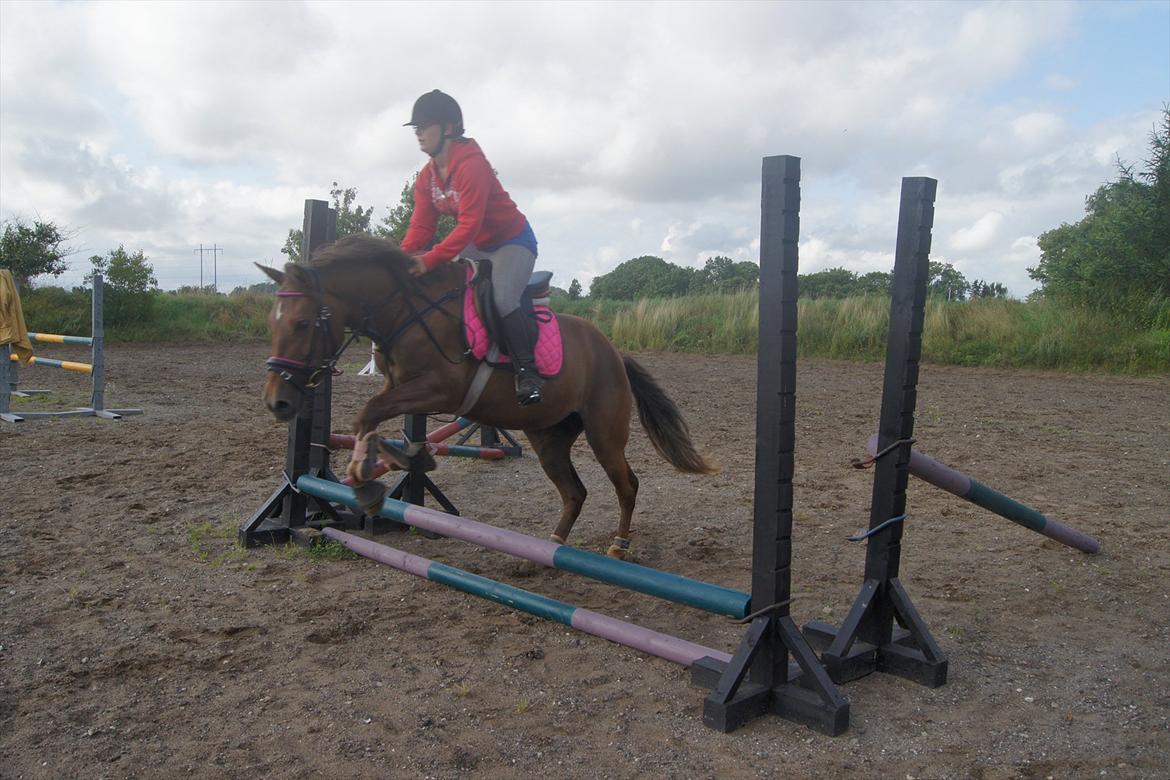 New Forest Diamond billede 18