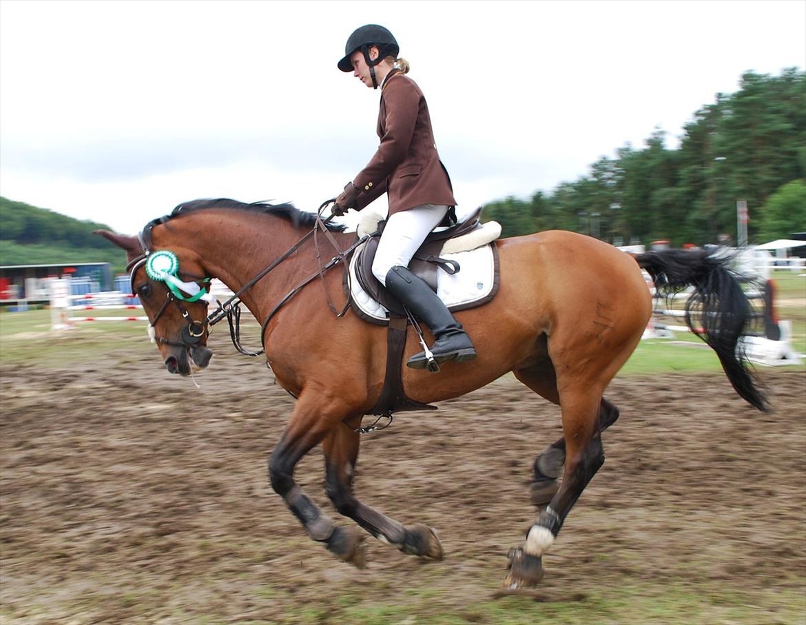 Dansk Varmblod Hyggebos-Fanak - 24-07-2011: Jysk Rideuge,  Vores 3. plads i LB** (Foto: Marie Louise Smestad Martinez-Dreesen) billede 9