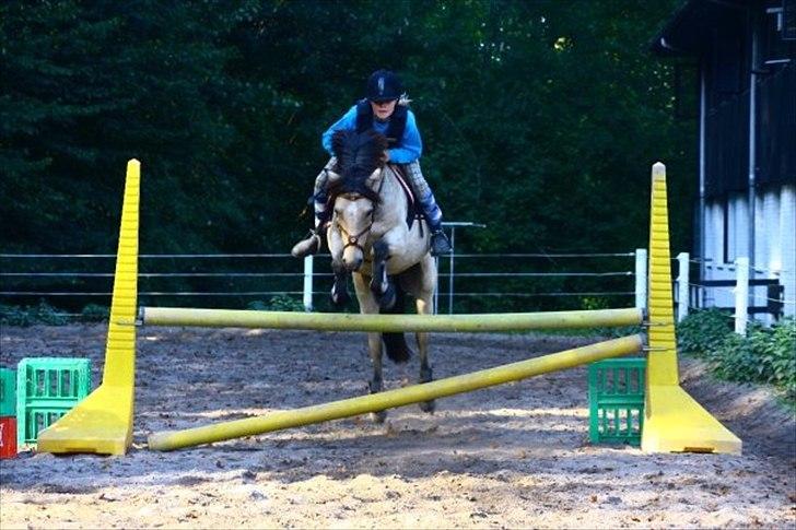 Anden særlig race Højgaard's Le-Mann - 85 cm :) <3 billede 1