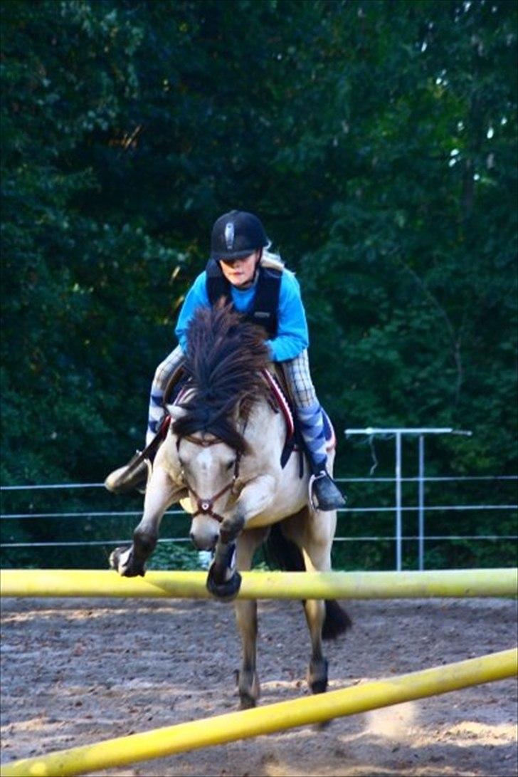Anden særlig race Højgaard's Le-Mann - Zoom billede 10