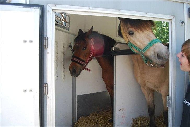 Anden særlig race Højgaard's Le-Mann billede 13