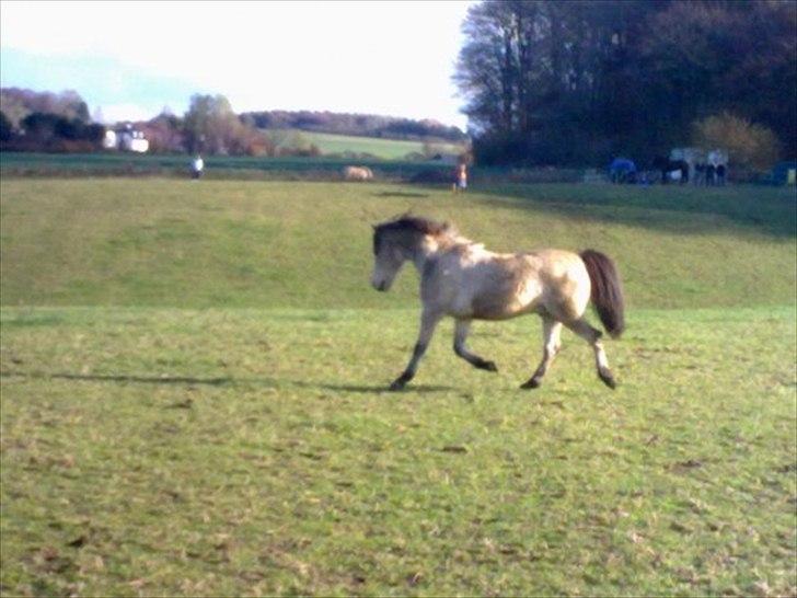 Anden særlig race Højgaard's Le-Mann - På marken :b billede 14