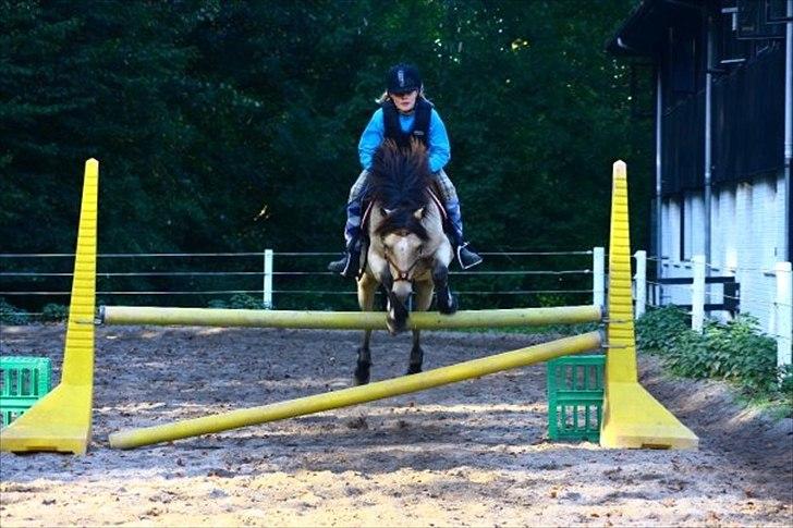 Anden særlig race Højgaard's Le-Mann - Stem gerne :)  billede 16