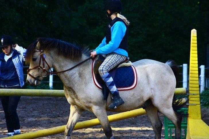 Anden særlig race Højgaard's Le-Mann billede 17