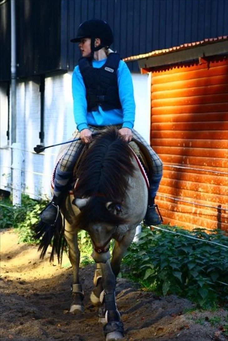 Anden særlig race Højgaard's Le-Mann billede 18