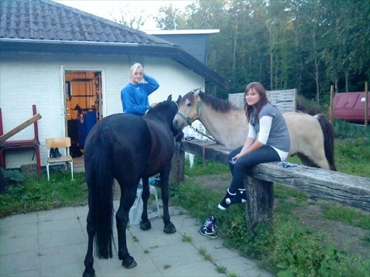 Anden særlig race Højgaard's Le-Mann billede 19