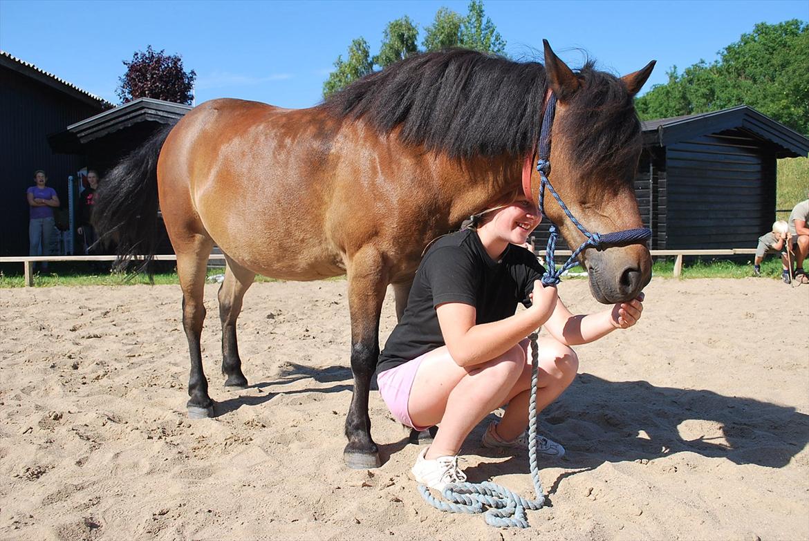 Anden særlig race Alfred - elsker også horsemancip billede 9