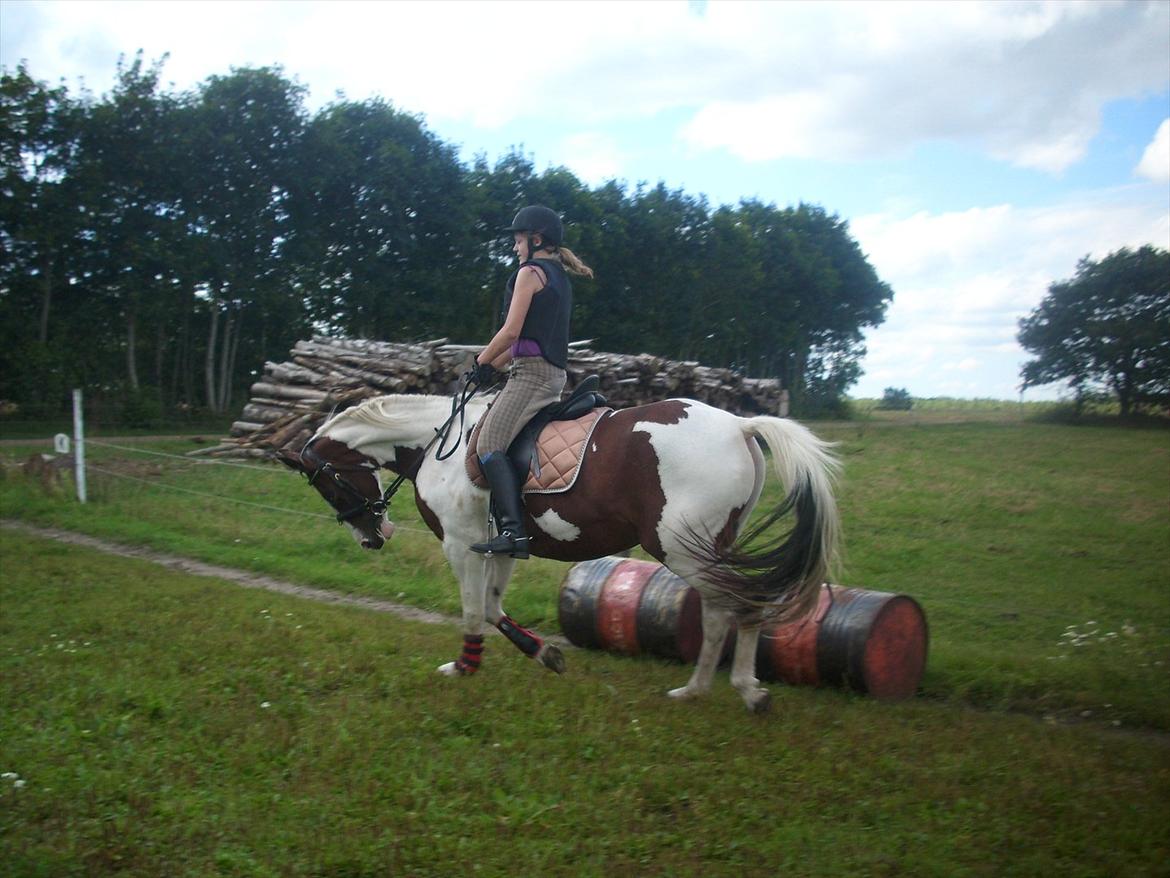 Pinto Isabella (Vi passed ikke sammen øv) <3 - Tju hej hvor jeg kan ride dressur på Isabella <3
Ej hun gik så godt den dag xD billede 8