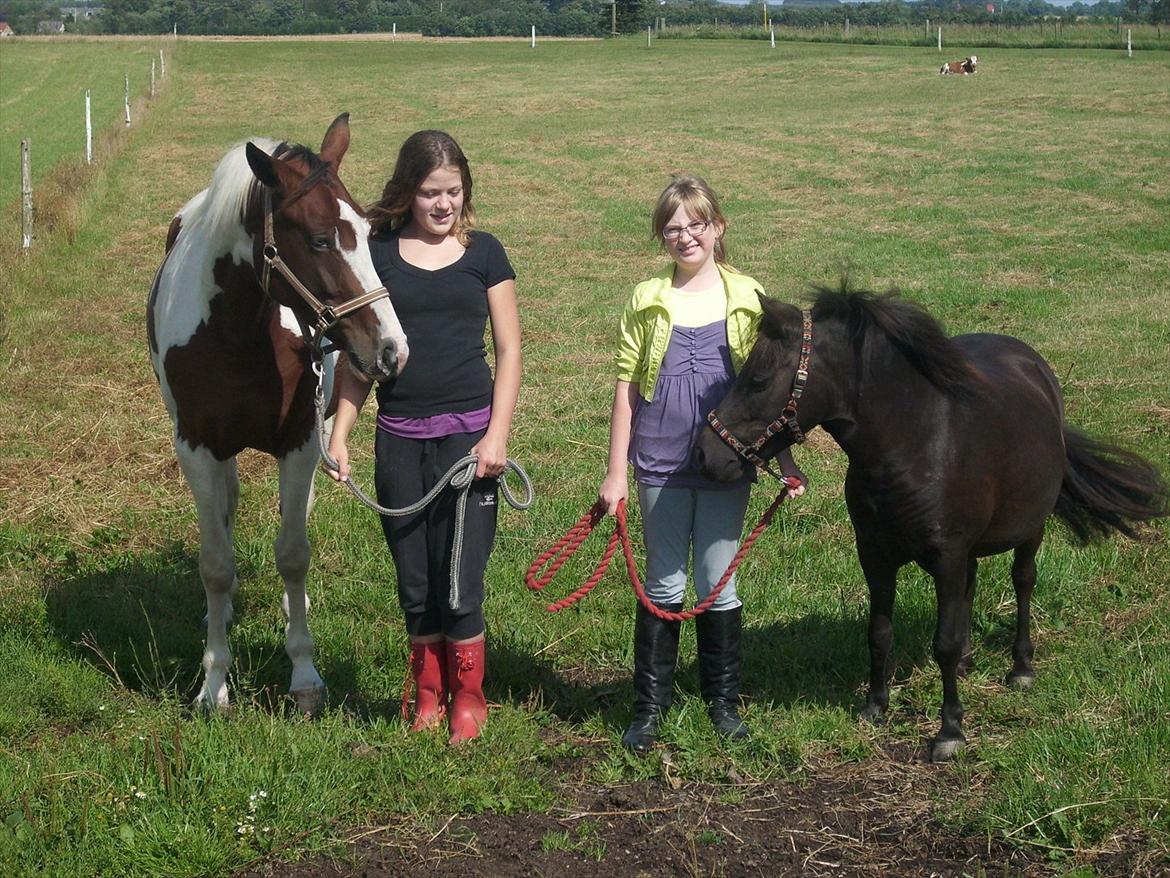 Pinto Isabella (Vi passed ikke sammen øv) <3 - vi ses forhåbenligt en anden gang
På billedet:
Maja og Mia
Pernille og Isabella  billede 20