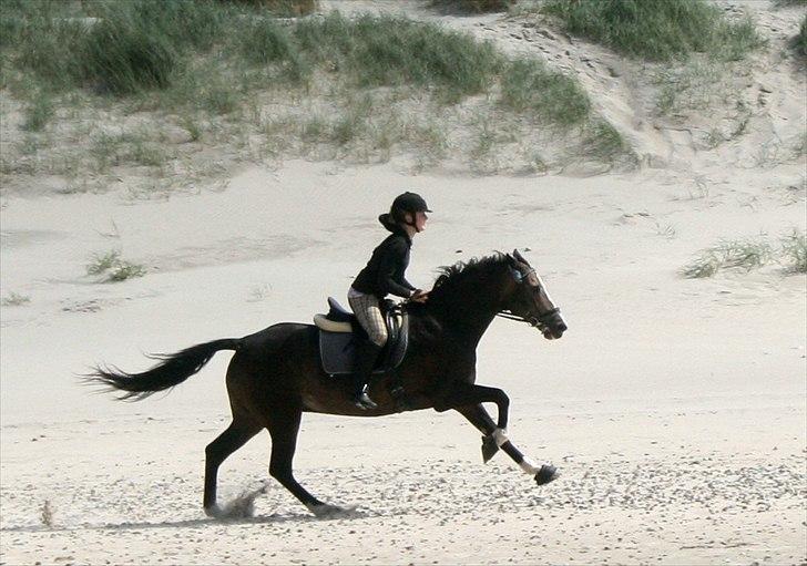 Anden særlig race Hera - Følle og jeg ved Vesterhavet i sommerferien 2011. Elsker den racer-pony!♥♥ 

 billede 3