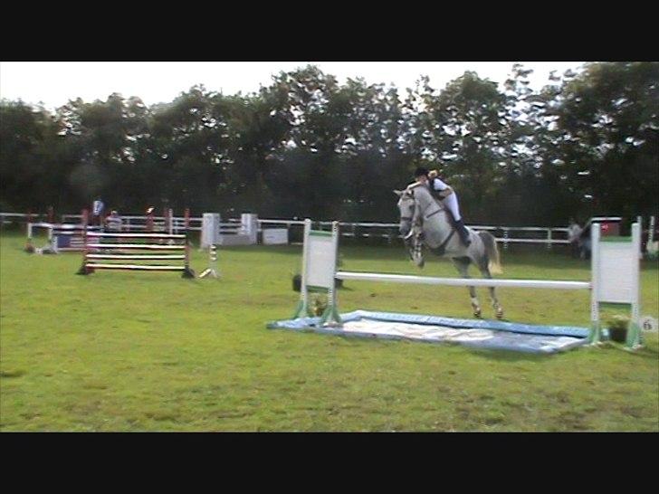 Holstener Claudius (Dunkel)  - Vand kan vi også springe :D <3  billede 18