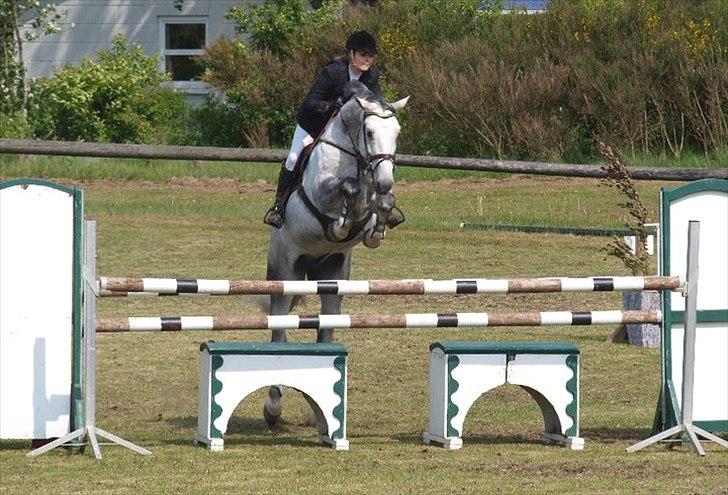 Holstener Claudius (Dunkel)  - Dunkel i MB, han er bare sej! elsker dig! <3  billede 19