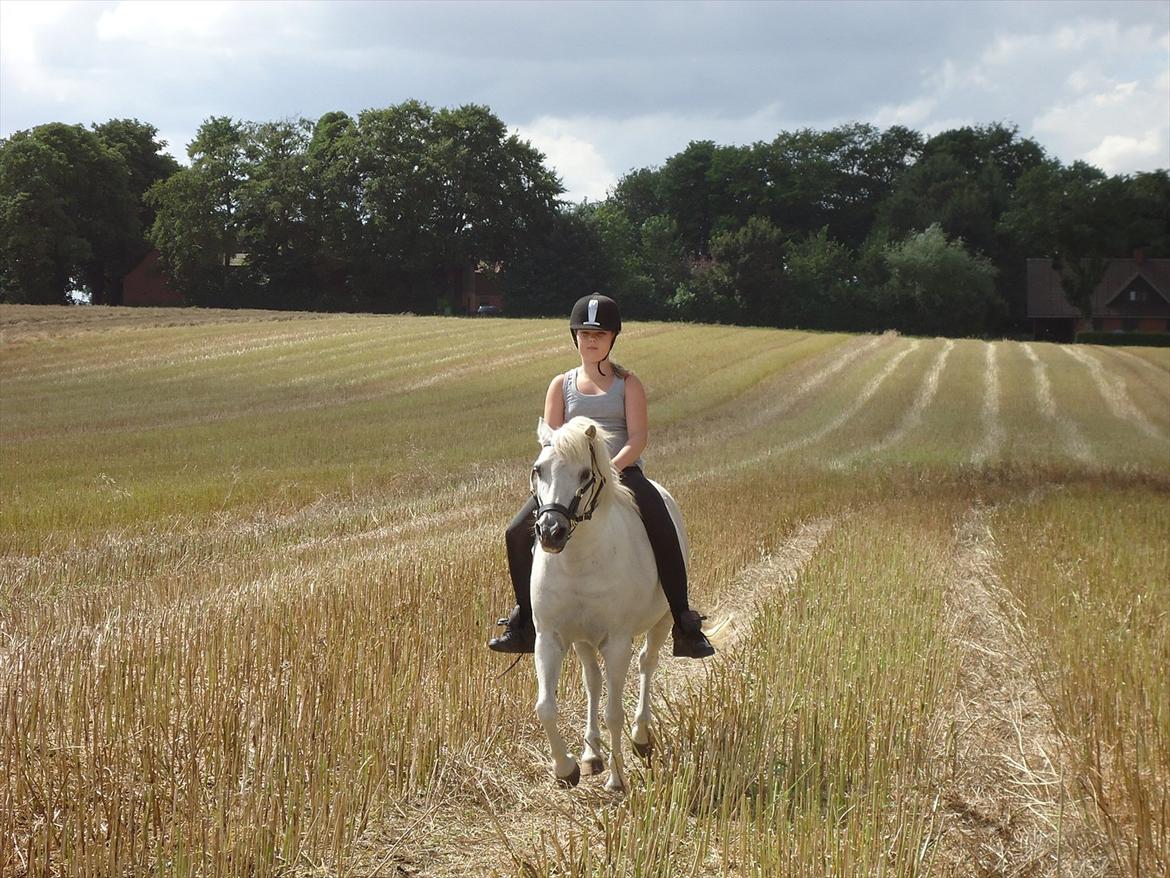 Anden særlig race Sissi <3 Solgt Altid elsket og savnet <3 - Du den bedste<3 og den aller smukkeste<3 billede 3