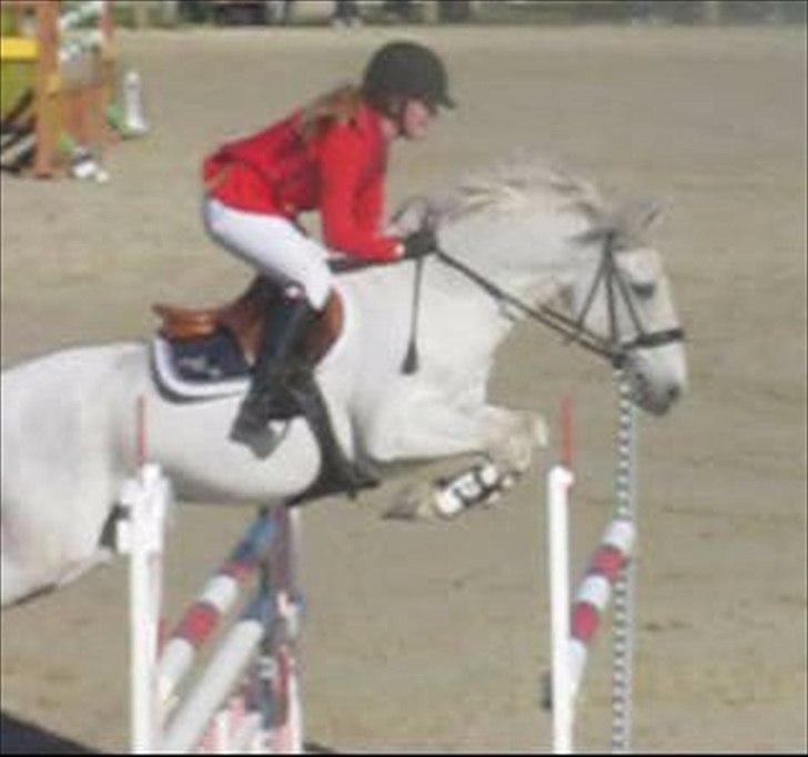 Anden særlig race BOBBY - S* middelfart 2011. billede 18