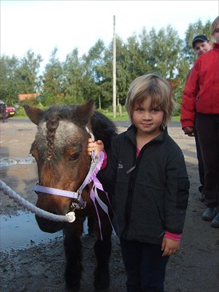 Shetlænder † Bakkegårdens Faster † - 22/9 07: Faster og min lillesøster efter en gennemført bomklasse:-) billede 1