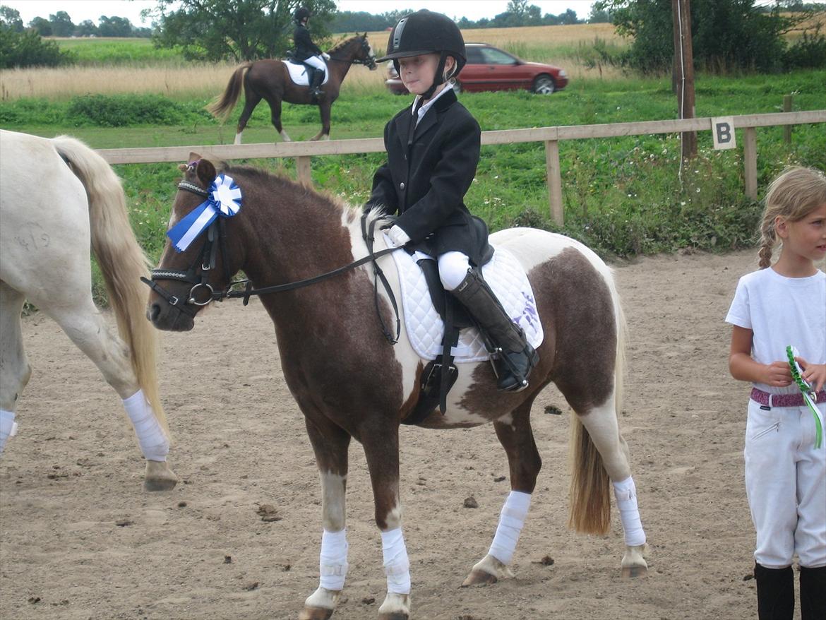 Anden særlig race Bell  (Solgt) - Endnu en placering i holdridning billede 7