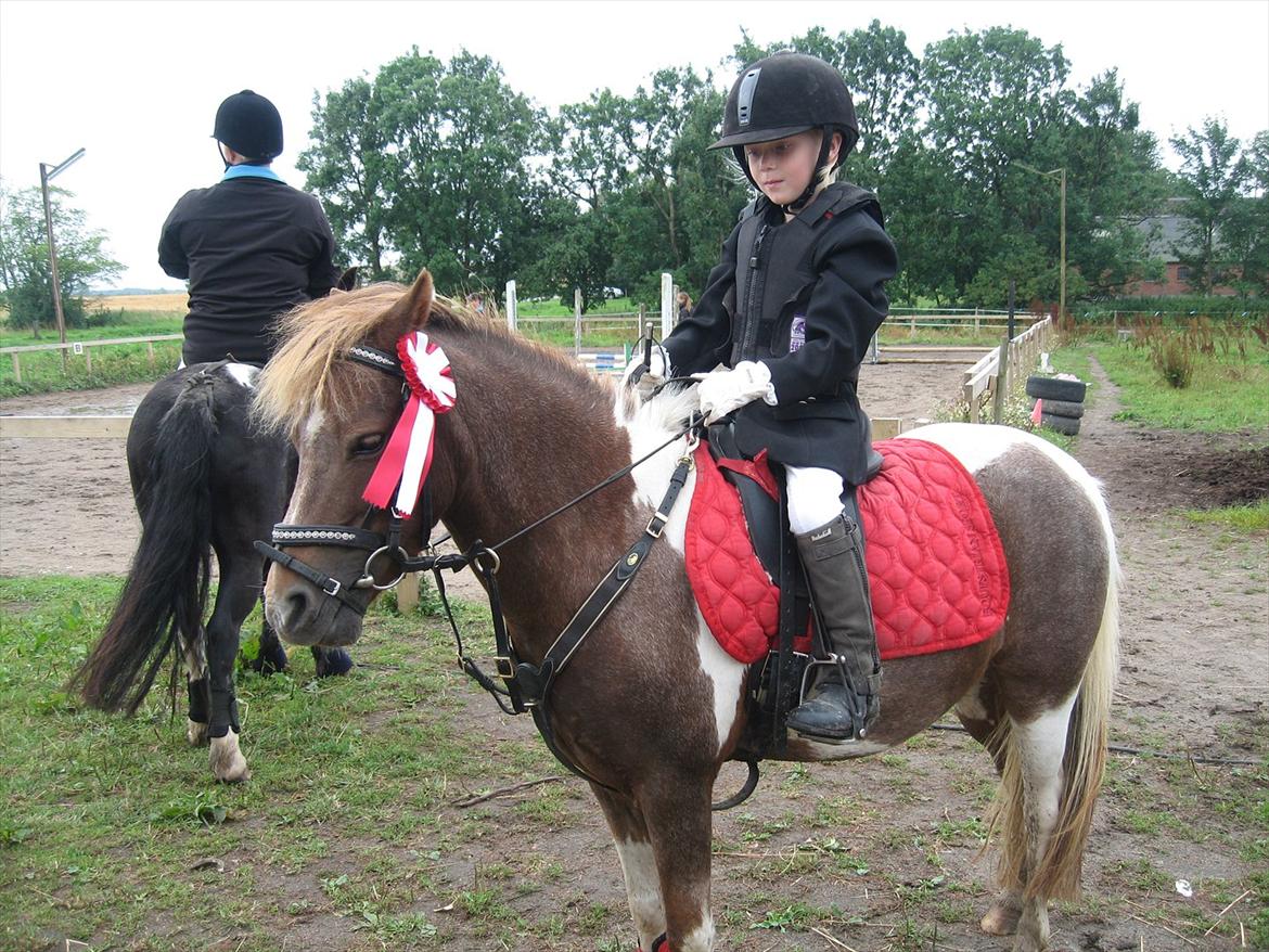Anden særlig race Bell  (Solgt) - Jubi, så gennemførte vi endelig en springklasse og vandt:-) billede 8
