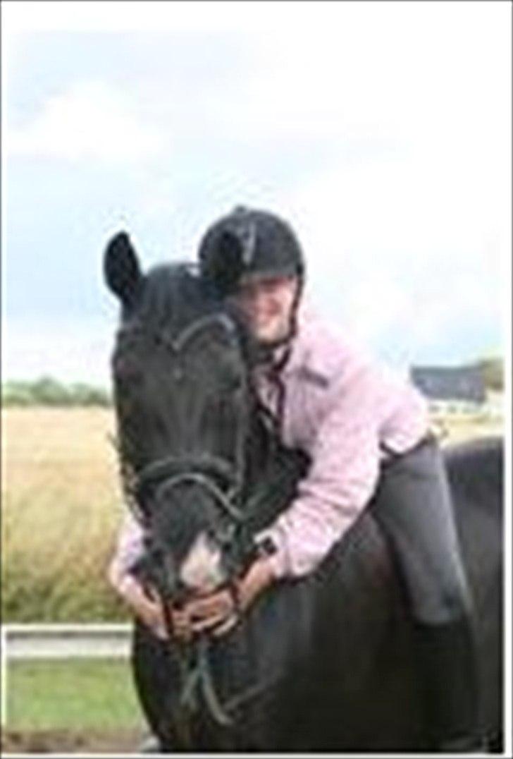 Anden særlig race Horse-Wear's Oktober  - Ridelejr i Hestehavens Rideklub - 2008. billede 18