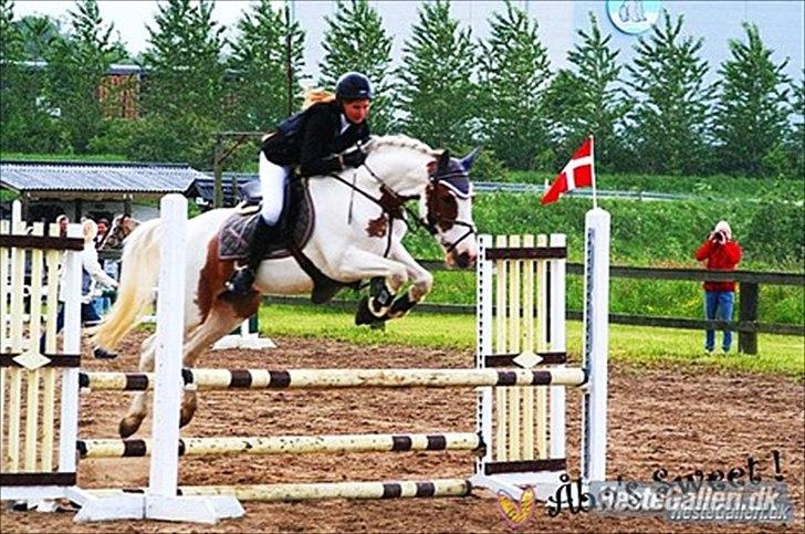 Anden særlig race Åbo 's sweet <3 billede 6