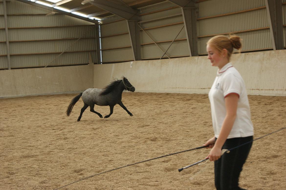 Miniature Emilie Bredager billede 11