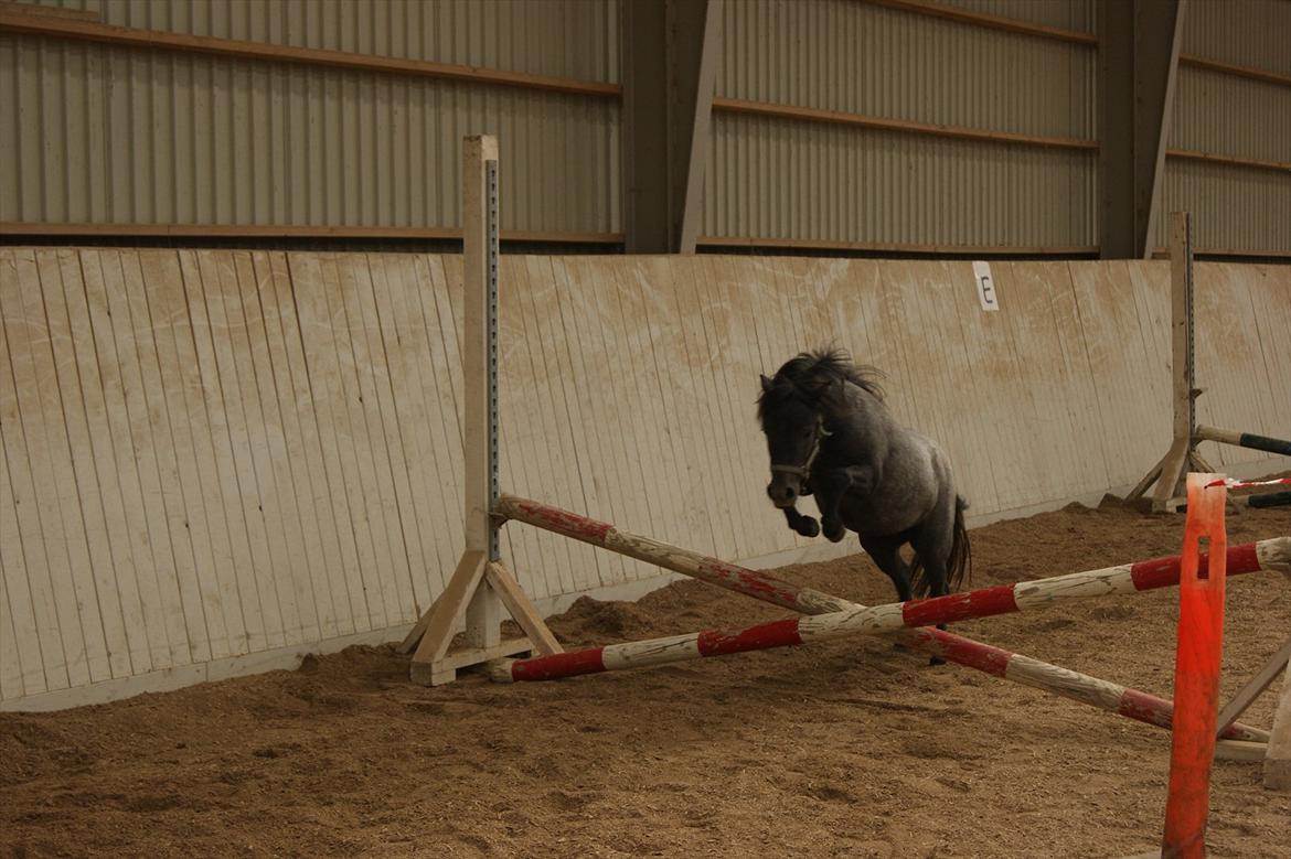 Miniature Emilie Bredager billede 12