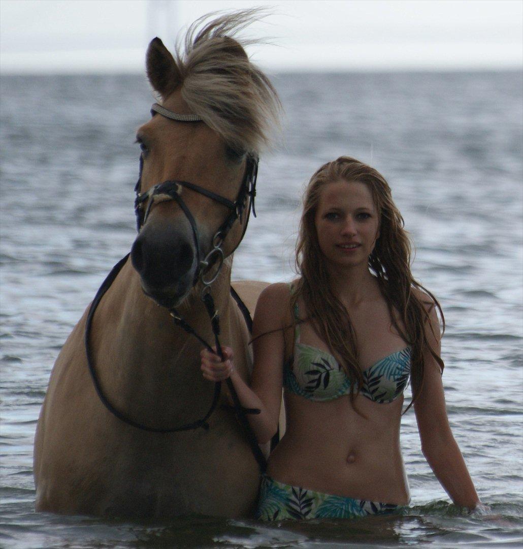 Anden særlig race Cognac billede 18