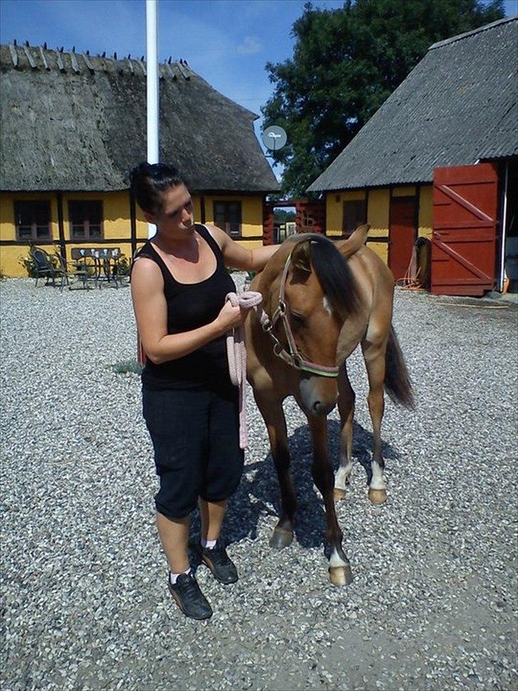 Anden særlig race Unica star billede 24