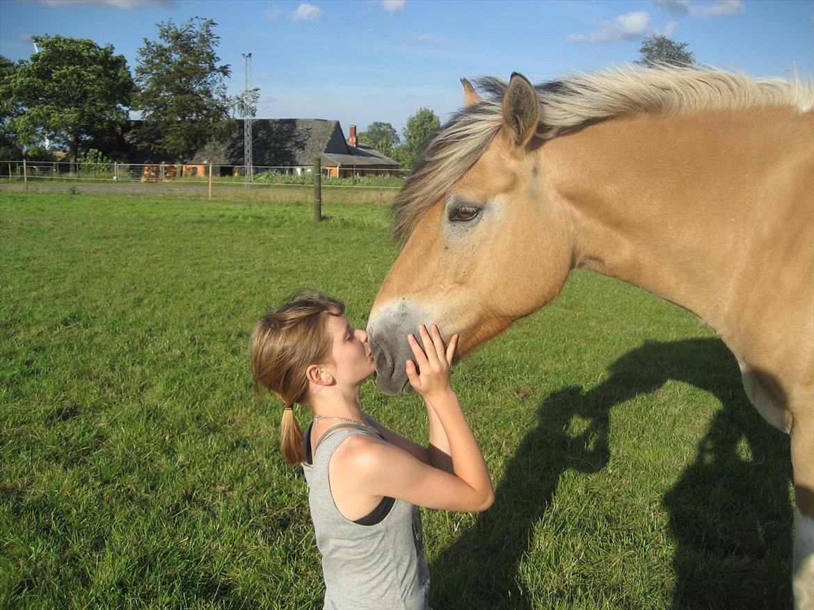 Hollandsk Sportspony Salt And Pepper - I believe that friends are quiet angels who sit on our shoulders and lift our wings when we forget how to fly
Foto: Emma billede 17