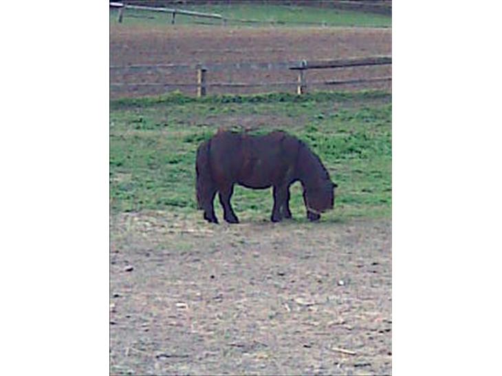 {{currentPhoto.altText}} billede {{currentPhoto.number}}