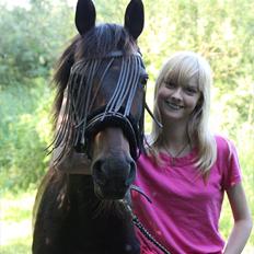 Tysk Sportspony Bonnie 