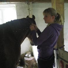 Anden særlig race Gambler