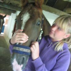 Anden særlig race Gambler