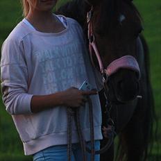 Welsh Pony (sec B) Låddenhøjs Misty