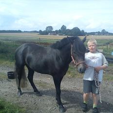 Connemara Pato (PART S Ø GES)