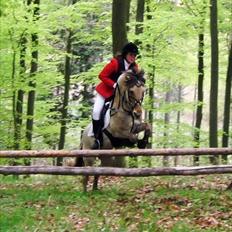 Anden særlig race Perle