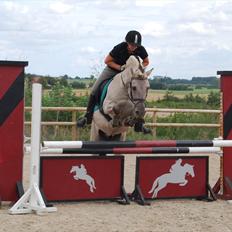 Fjordhest Hashagen´s D-Mark udlånt