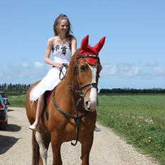 Frederiksborg Humlegårdens Bastian.