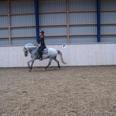 Anden særlig race Con Amor