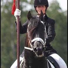 Frieser Zeus Fan Stennissegaard *SOLGT*