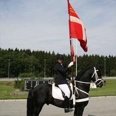 Frieser Zeus Fan Stennissegaard *SOLGT*