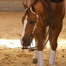 Quarter Oaki Docy Dime