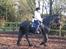 Frieser Jordy Van Zuidveld R.I.P.