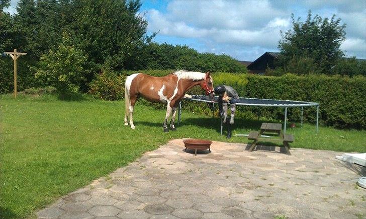 Pinto Nerolientje - Mig og Nerolientje på besøg i baghaven  :D billede 17