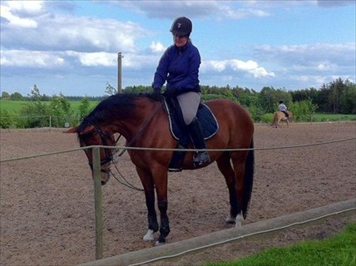 Palomino Charming Miss - Behaving - Igen et ridebilled efter vores lille uheld.
 billede 6