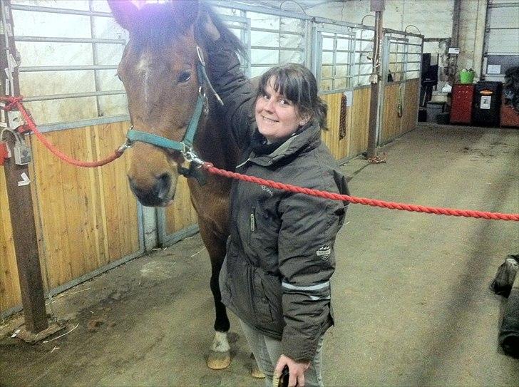 Palomino Charming Miss - Behaving billede 7