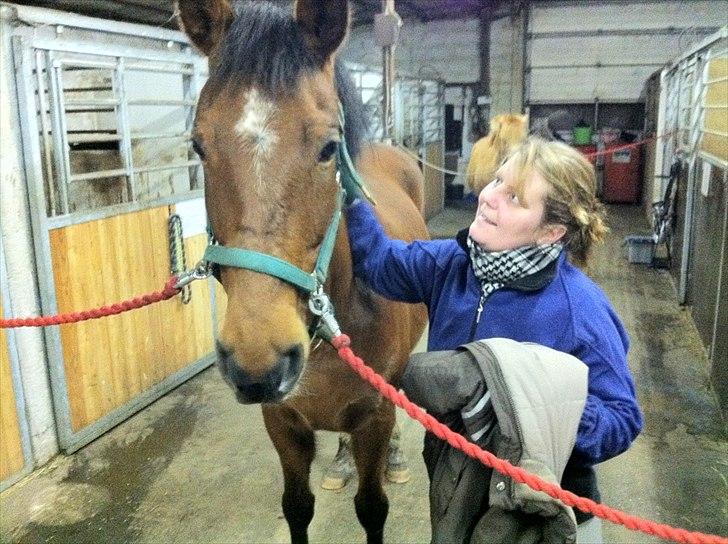 Palomino Charming Miss - Behaving billede 12